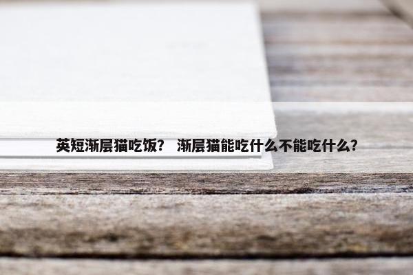 英短渐层猫吃饭？ 渐层猫能吃什么不能吃什么？