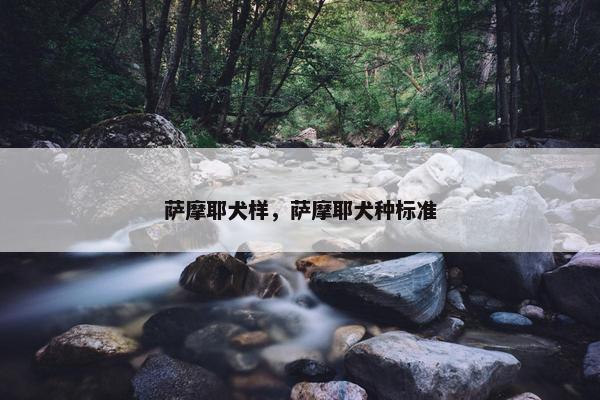 萨摩耶犬样，萨摩耶犬种标准