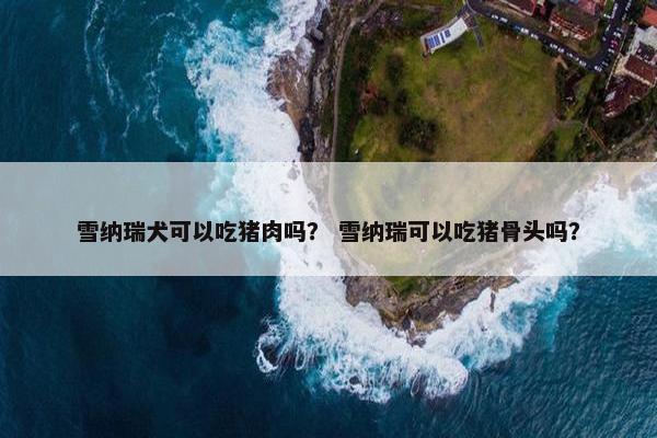 雪纳瑞犬可以吃猪肉吗？ 雪纳瑞可以吃猪骨头吗？