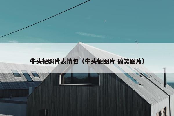 牛头梗照片表情包（牛头梗图片 搞笑图片）