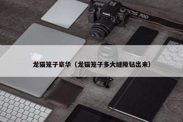 龙猫笼子豪华（龙猫笼子多大缝隙钻出来）