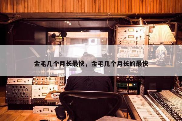 金毛几个月长最快，金毛几个月长的最快