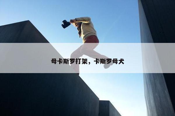 母卡斯罗打架，卡斯罗母犬