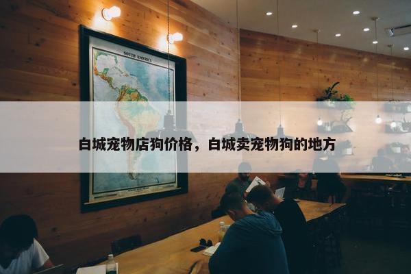 白城宠物店狗价格，白城卖宠物狗的地方