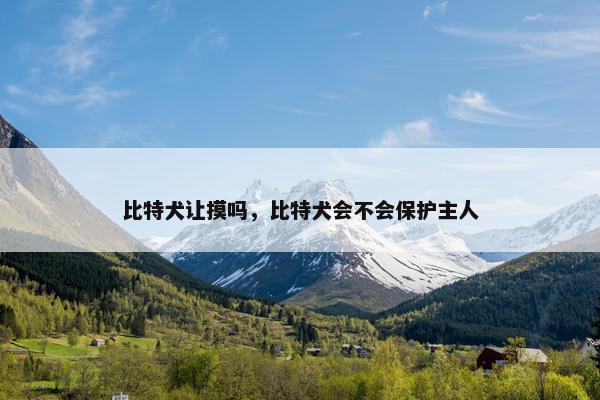比特犬让摸吗，比特犬会不会保护主人