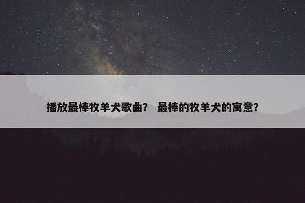 播放最棒牧羊犬歌曲？ 最棒的牧羊犬的寓意？