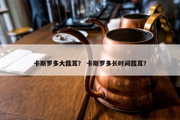 卡斯罗多大裁耳？ 卡斯罗多长时间裁耳？