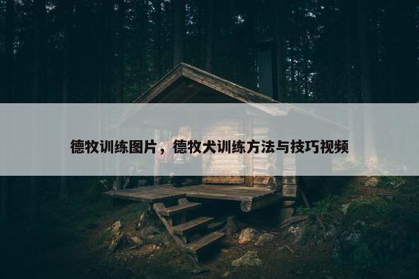 德牧训练图片，德牧犬训练方法与技巧视频