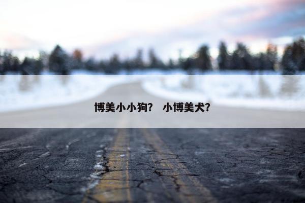 博美小小狗？ 小博美犬？