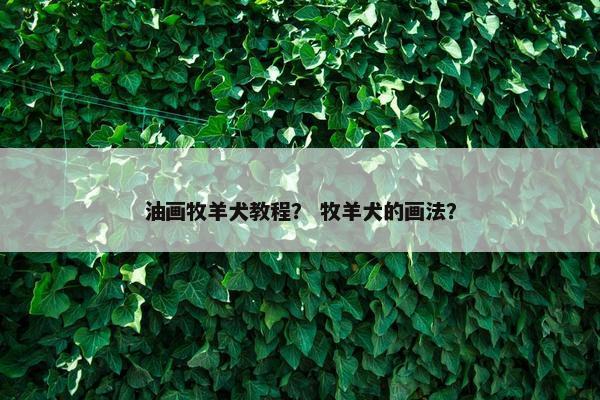 油画牧羊犬教程？ 牧羊犬的画法？