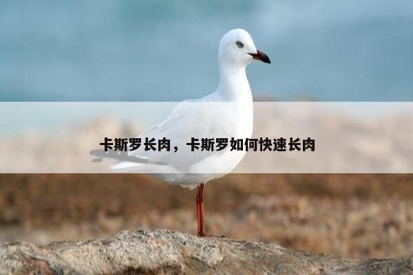 卡斯罗长肉，卡斯罗如何快速长肉