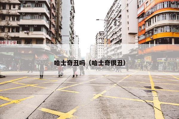 哈士奇丑吗（哈士奇很丑）