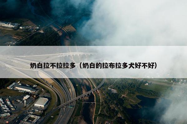 奶白拉不拉拉多（奶白的拉布拉多犬好不好）
