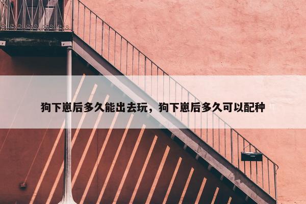 狗下崽后多久能出去玩，狗下崽后多久可以配种