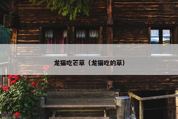 龙猫吃芒草（龙猫吃的草）