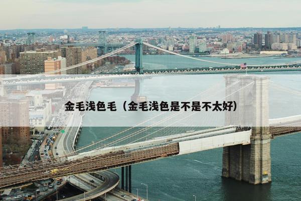 金毛浅色毛（金毛浅色是不是不太好）