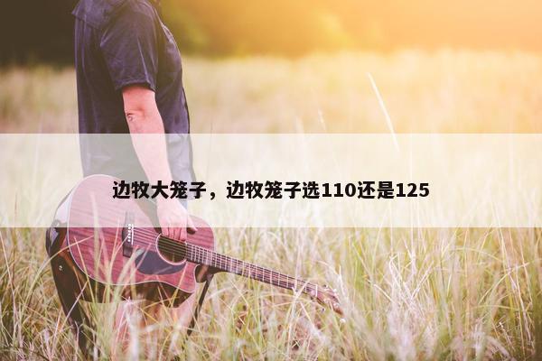 边牧大笼子，边牧笼子选110还是125