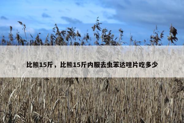 比熊15斤，比熊15斤内服去虫苯达唑片吃多少