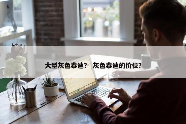 大型灰色泰迪？ 灰色泰迪的价位？