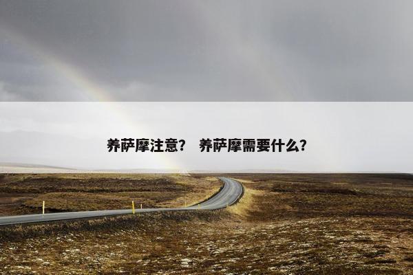 养萨摩注意？ 养萨摩需要什么？