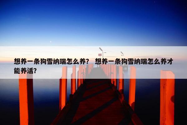 想养一条狗雪纳瑞怎么养？ 想养一条狗雪纳瑞怎么养才能养活？