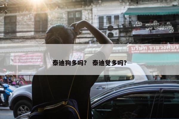 泰迪狗多吗？ 泰迪觉多吗？