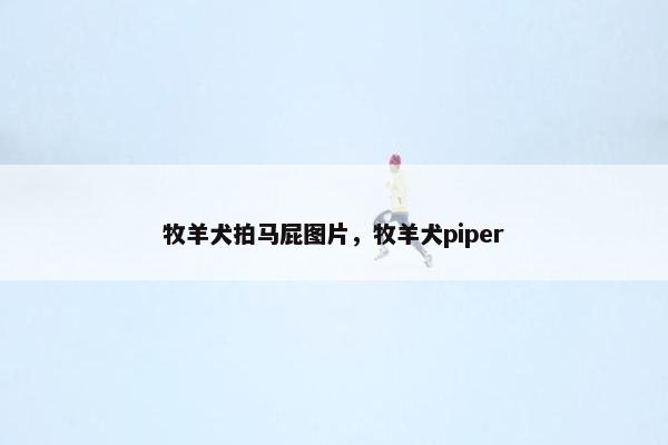 牧羊犬拍马屁图片，牧羊犬piper