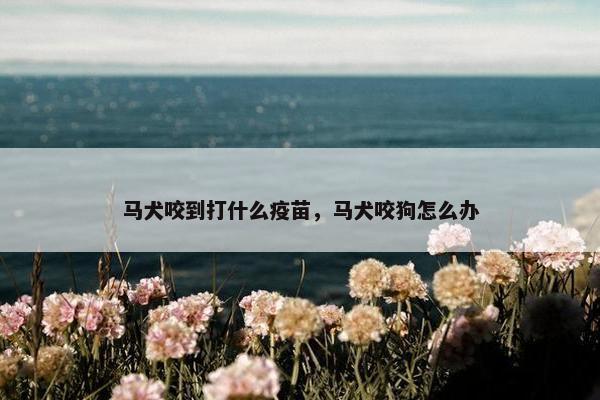 马犬咬到打什么疫苗，马犬咬狗怎么办