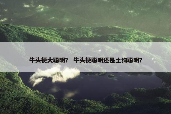 牛头梗大聪明？ 牛头梗聪明还是土狗聪明？