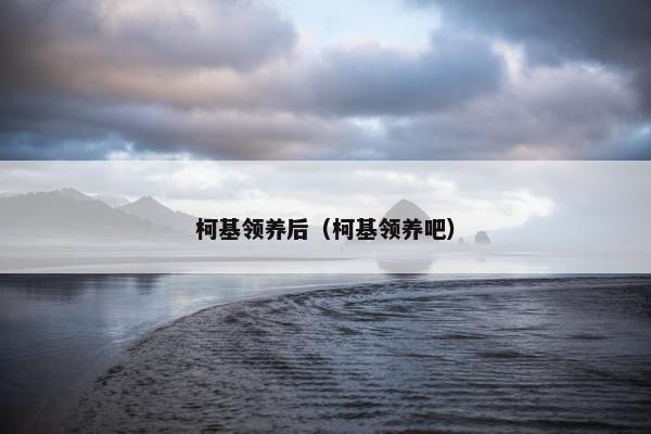 柯基领养后（柯基领养吧）
