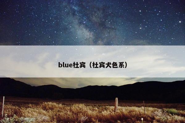 blue杜宾（杜宾犬色系）