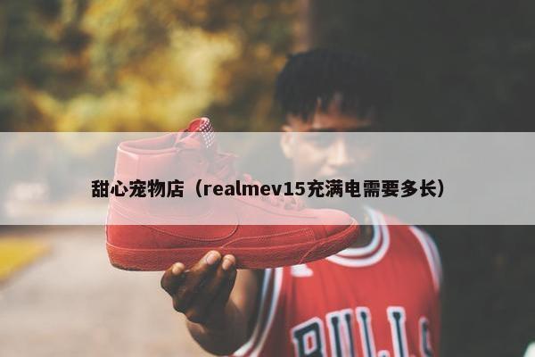 甜心宠物店（realmev15充满电需要多长）