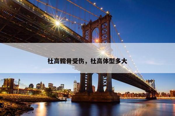 杜高髋骨受伤，杜高体型多大