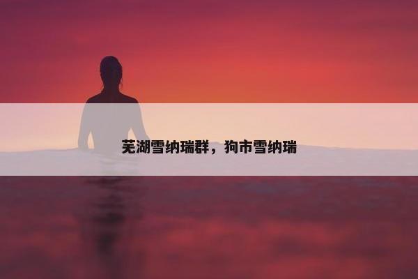 芜湖雪纳瑞群，狗市雪纳瑞