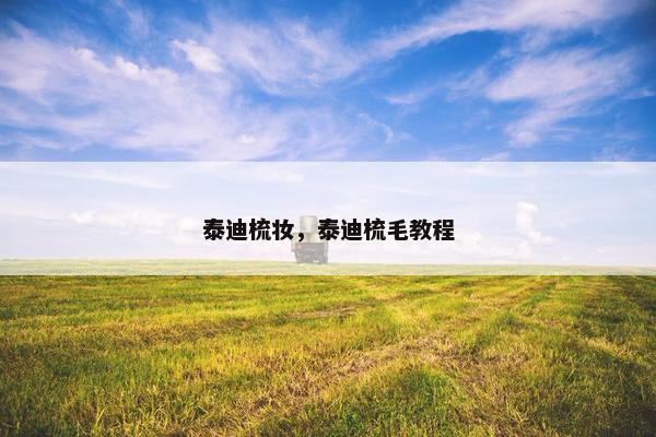 泰迪梳妆，泰迪梳毛教程