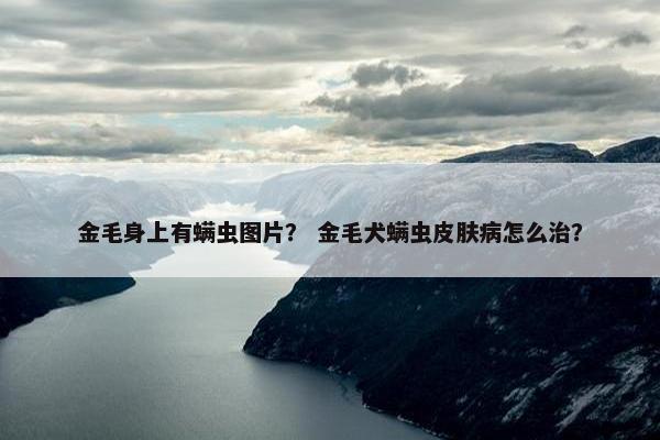 金毛身上有螨虫图片？ 金毛犬螨虫皮肤病怎么治？