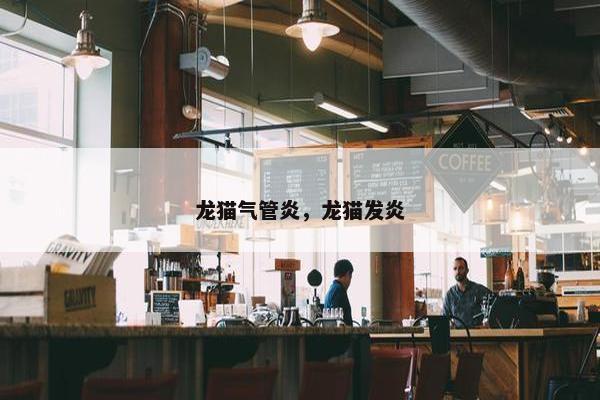 龙猫气管炎，龙猫发炎