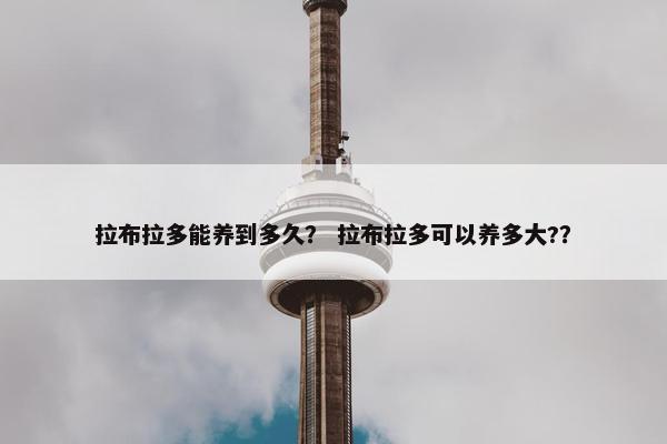 拉布拉多能养到多久？ 拉布拉多可以养多大?？