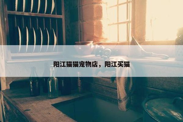 阳江猫猫宠物店，阳江买猫