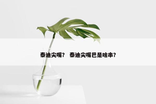 泰迪尖嘴？ 泰迪尖嘴巴是啥串？