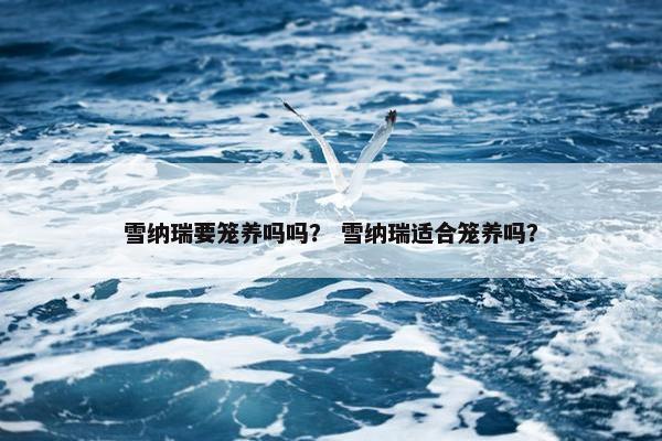 雪纳瑞要笼养吗吗？ 雪纳瑞适合笼养吗？