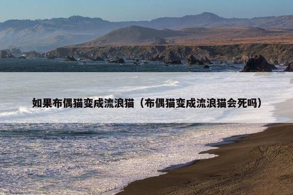 如果布偶猫变成流浪猫（布偶猫变成流浪猫会死吗）