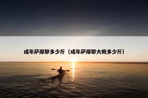 成年萨摩耶多少斤（成年萨摩耶大概多少斤）