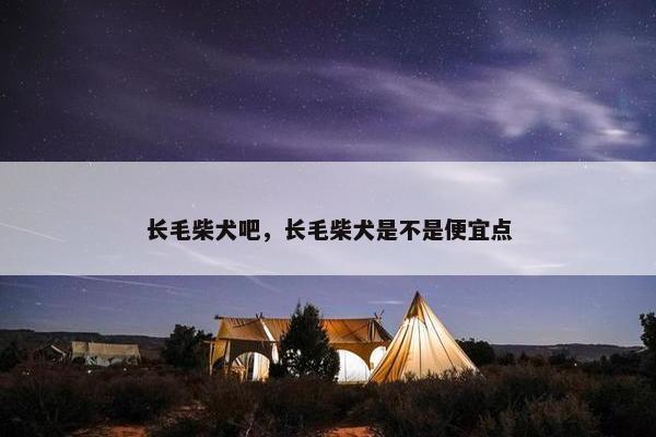 长毛柴犬吧，长毛柴犬是不是便宜点