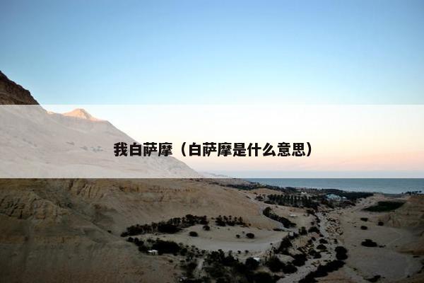 我白萨摩（白萨摩是什么意思）