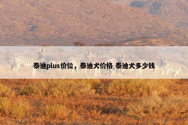 泰迪plus价位，泰迪犬价格 泰迪犬多少钱