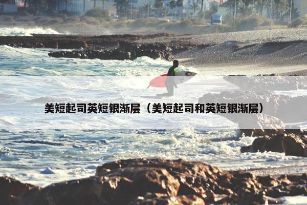 美短起司英短银渐层（美短起司和英短银渐层）