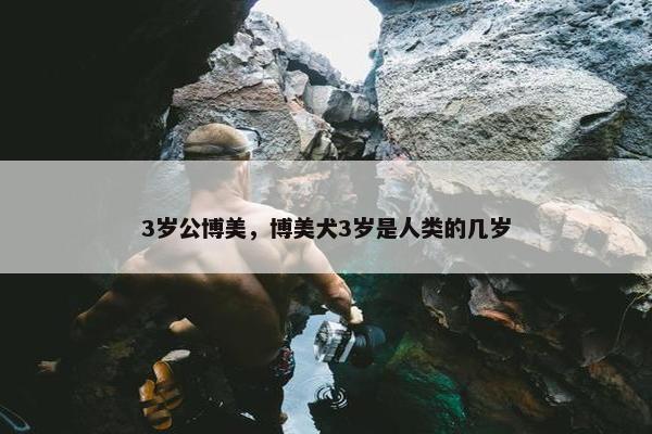 3岁公博美，博美犬3岁是人类的几岁