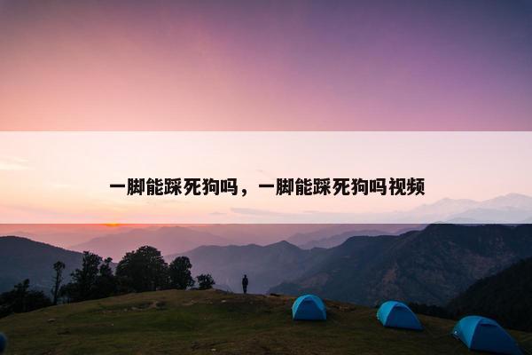 一脚能踩死狗吗，一脚能踩死狗吗视频