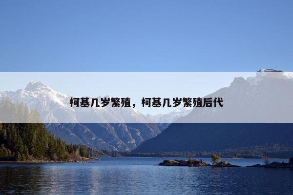柯基几岁繁殖，柯基几岁繁殖后代